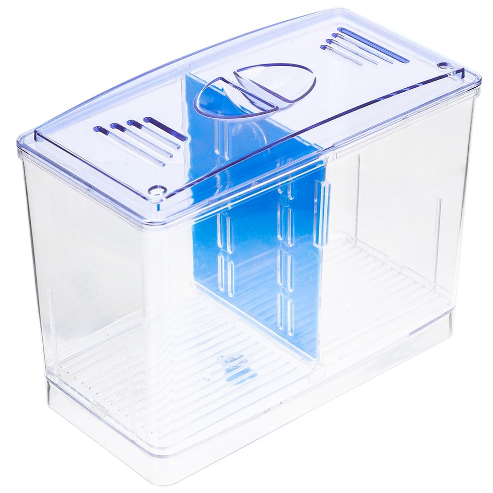 BUGUUYO Betta Incubator with Two Compartments