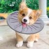 Cozy Kitten Collar, Adjustable, Lightweight, Soft view 3