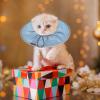 Soft Elizabethan Pet Collar for Cats, Kittens, and Puppies view 2