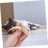 BUGUUYO 3-Piece Interactive Cat Toy Set view 2