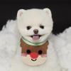 Pet Bib for Christmas view 4
