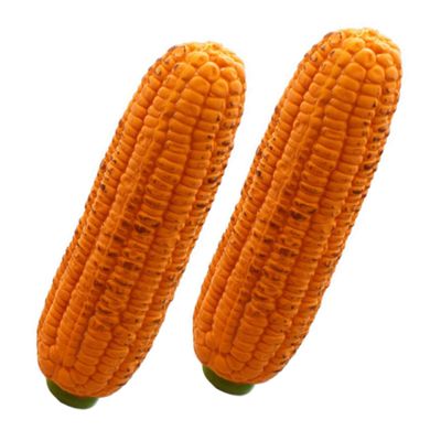 BUGUUYO Durable Squeaky Corn Dog Toy