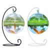 Small Hanging Fish Bowl view 4