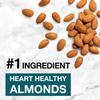 BE-KIND Dark Chocolate Nuts & Sea Salt 6x12x40g | Nut Bar | Chocolate Bar | Gluten-Free view 2
