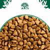James Wellbeloved Superfoods 1.5 kg Dry Dog Food, Turkey with Kale and Quinoa view 4