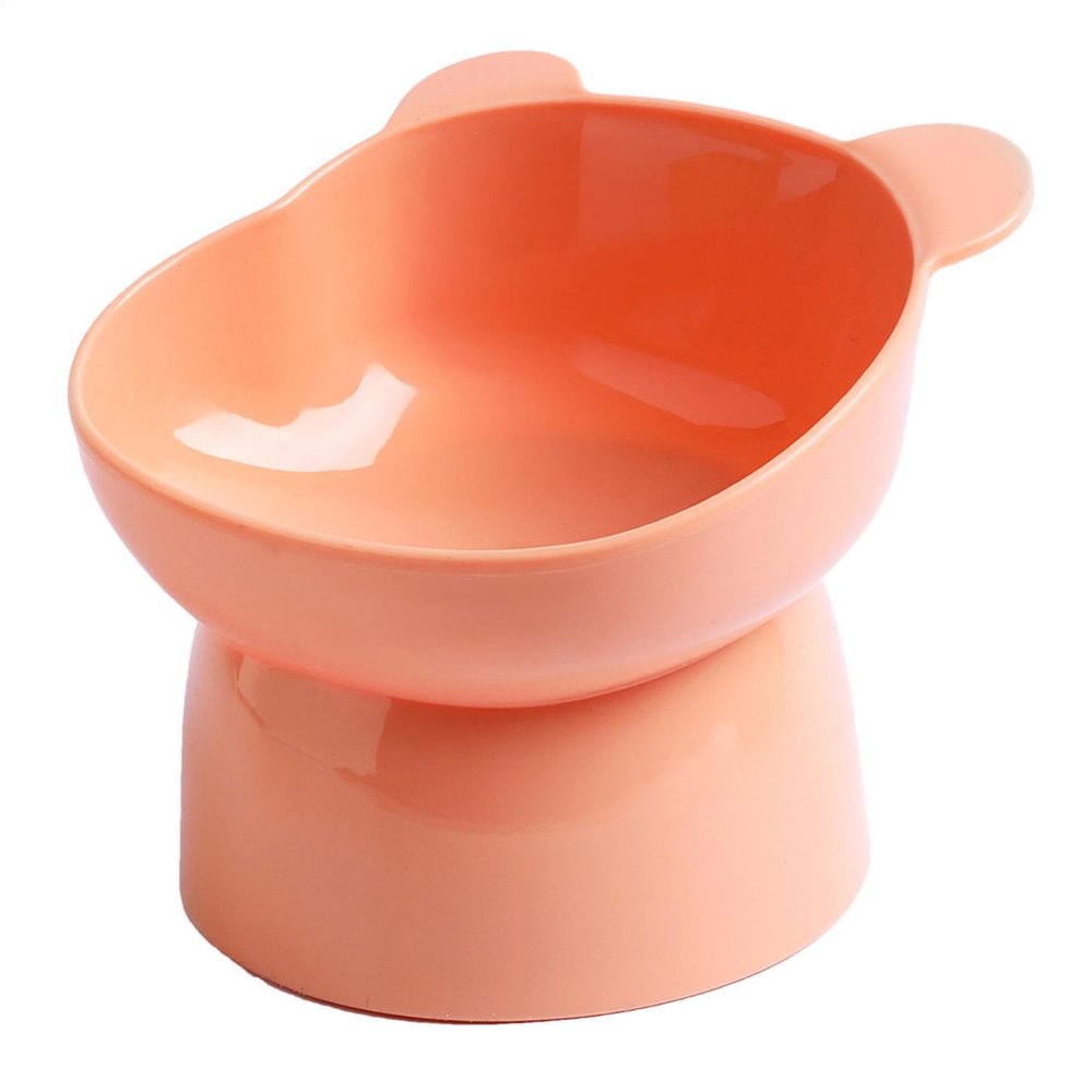 Slanted Elevated Dog Bowl