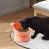 Slanted Elevated Dog Bowl view 2
