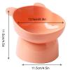 Slanted Elevated Dog Bowl view 4