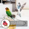 Pet Bird Cape Costume view 3