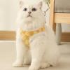 High-Performance Dog Training Leash view 2