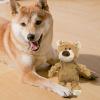 Squeaky Plush Cartoon Bear Dog Toy view 4