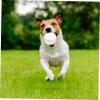 DECOMELODY 4-Pack Dog Toy Squeaky Tennis Balls view 2