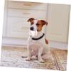 DECOMELODY 4-Pack Dog Toy Squeaky Tennis Balls view 3