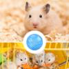 Hamster Exercise Ball, Jogging Toy for Small Animals view 4