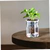 DECOMELODY Transparent Goldfish Aquarium Pot view 2