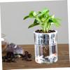 DECOMELODY Transparent Goldfish Aquarium Pot view 3
