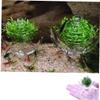 HAPINARY 3-Piece Transparent Shrimp Feeding Station view 2