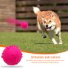 Generic Dog Toy Balls, Tennis Balls for Dogs, Dog Tennis Ball Chew Toy view 2