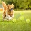 Generic Dog Toy Balls, Tennis Balls for Dogs, Dog Tennis Ball Chew Toy view 3
