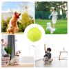 Generic Dog Toy Balls, Tennis Balls for Dogs, Dog Tennis Ball Chew Toy view 4