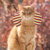ibasenice U-Shaped Cat Pillow view 3