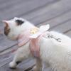 Akozon Cat Harness with Leash view 1