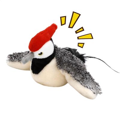 Flapping Bird Cat Toy with Catnip