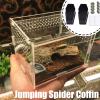 Jumping Spider Decor, Jumping Spider Cage, Spider Terrarium Kit view 3