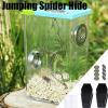 Jumping Spider Decor, Jumping Spider Cage, Spider Terrarium Kit view 4