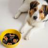 Dog Slow Feeder Mat with Suction Cups view 4