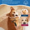 Pet Dematting Comb view 3