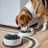 Licky Mats for Dogs - Slow Feeder Pad view 2