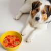 Dog Licky Mat - Suction Cup Design view 3