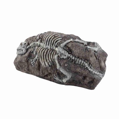 Dinosaur Decoration for Aquariums and Terrariums, Realistic Reptile Decor for Aquariums and Lizard Habitats