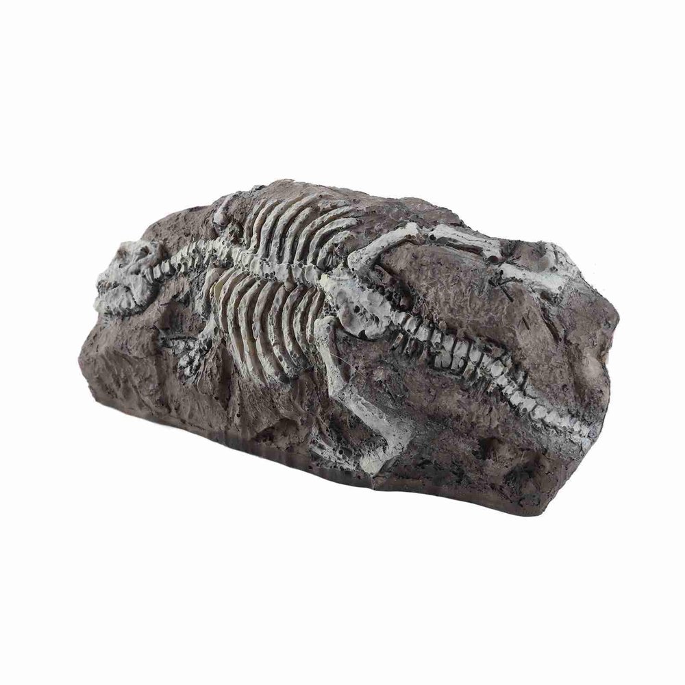 Dinosaur Decoration for Aquariums and Terrariums, Realistic Reptile Decor for Aquariums and Lizard Habitats