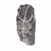 Dinosaur Decoration for Aquariums and Terrariums, Realistic Reptile Decor for Aquariums and Lizard Habitats view 2