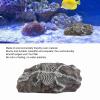 Dinosaur Decoration for Aquariums and Terrariums, Realistic Reptile Decor for Aquariums and Lizard Habitats view 3