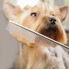 7-Inch Gold-Coated Pet Grooming Scissor Set, 4-Piece view 4