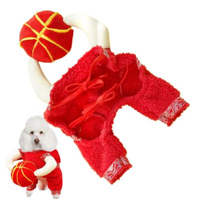 Lunar New Year Pet Costume with Lantern
