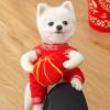 Lunar New Year Pet Costume with Lantern view 2