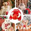 Lunar New Year Pet Costume with Lantern view 4