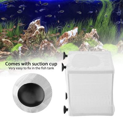 2-in-1 Isolation Breeding Box for Small Fish