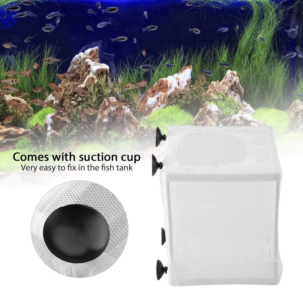 2-in-1 Isolation Breeding Box for Small Fish
