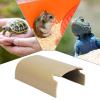Naqqios Gecko & Snake Hideout view 4