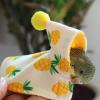 Bird Costume for Small Pets view 3