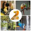 Bird Costume for Small Pets view 4