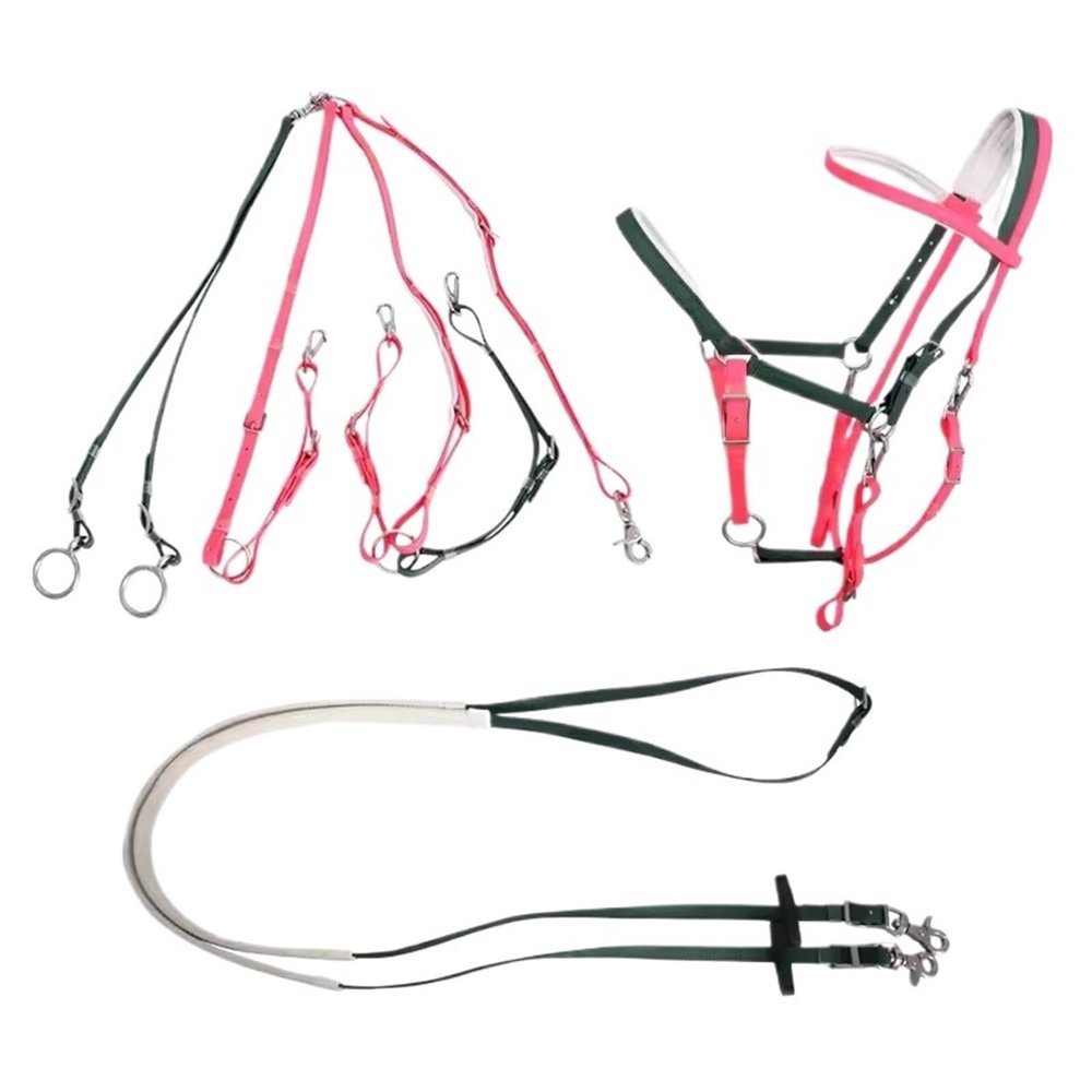 LXLAEOANG Horse Reins Complete Set for Endurance and Trail Riding (Pink-Green)