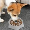 Dog Slow Feeder Bowl view 3