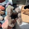 Plush Rabbit Fur Claw Hair Clip, Blue, 13 cm view 3