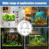 JIEBWCHA Betta Fish Loop view 4